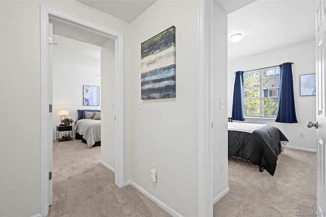 4451 S Ammons St Unit 4-203, Littleton, CO 80123 - hall with light colored carpet and baseboards