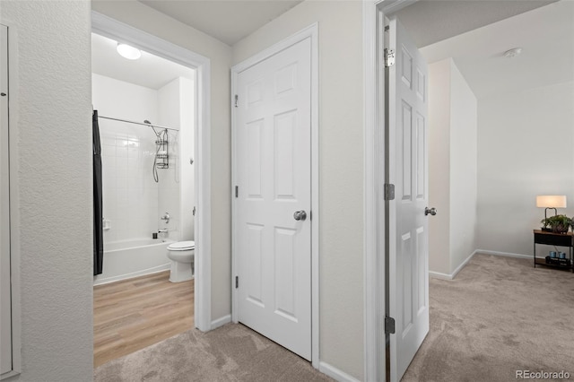 4451 S Ammons St Unit 4-203, Littleton, CO 80123 - corridor featuring carpet floors and baseboards