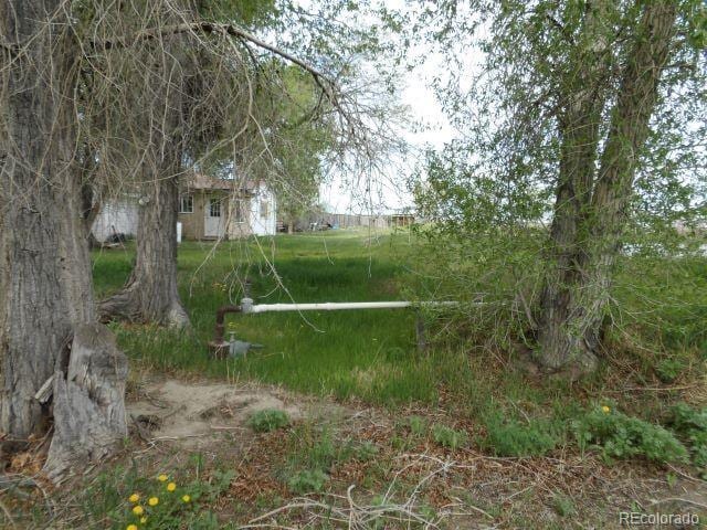 58003 County Road T, Saguache, CO 81149 - photo 18