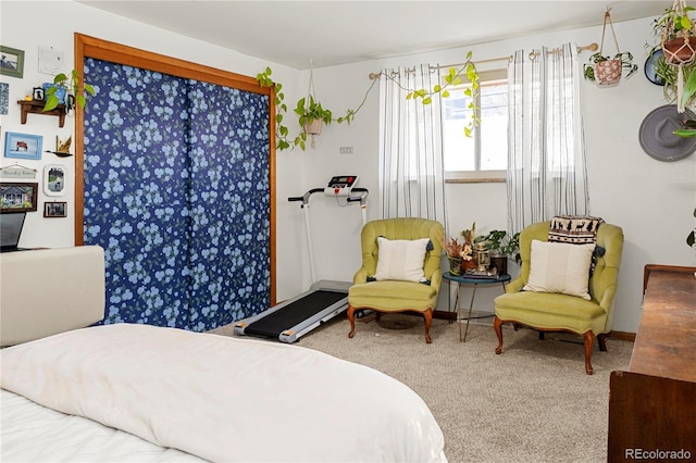 bedroom featuring carpet