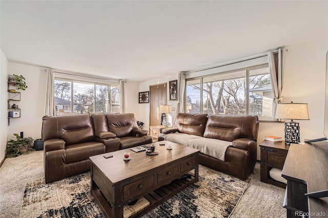 view of carpeted living room