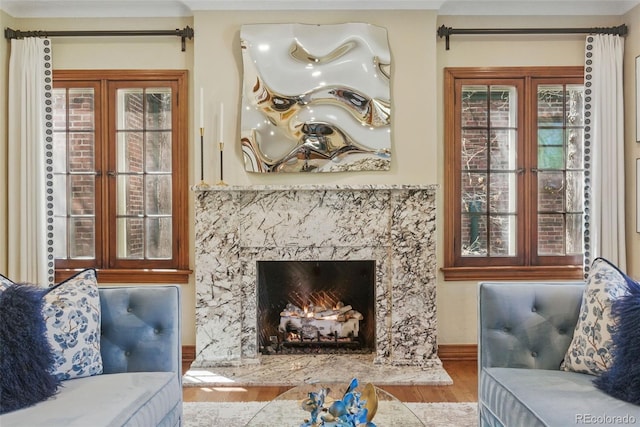 living area featuring baseboards, a wealth of natural light, wood finished floors, and a fireplace