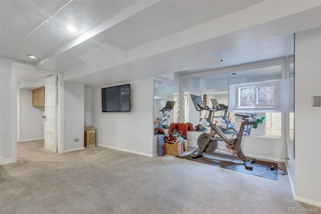 350 Albion St, Denver, CO 80220 - exercise room with carpet floors, recessed lighting, and baseboards