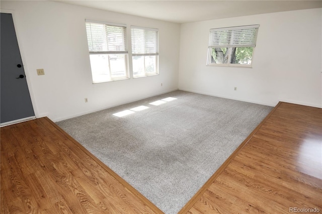 11008 Vrain Ct, Westminster, CO 80031 - photo 6