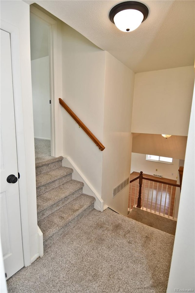 11008 Vrain Ct, Westminster, CO 80031 - photo 21