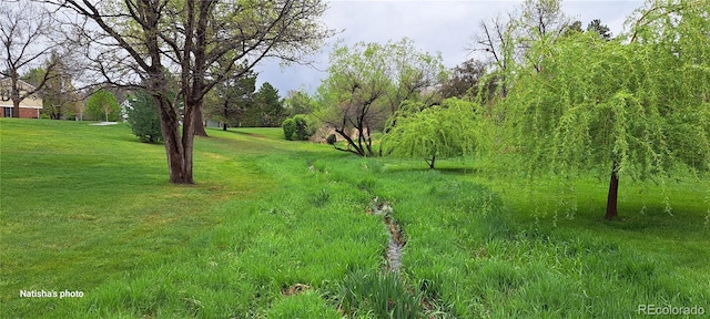7882 S Valentia Way, Centennial, CO 80112 - view of undeveloped land