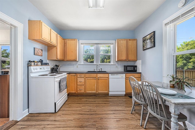 2087 S Clarkson St, Denver, CO 80210 - photo 7