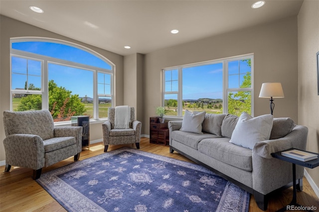 19735 Knights Xing, Monument, CO 80132 - living room with light wood finished floors and recessed lighting