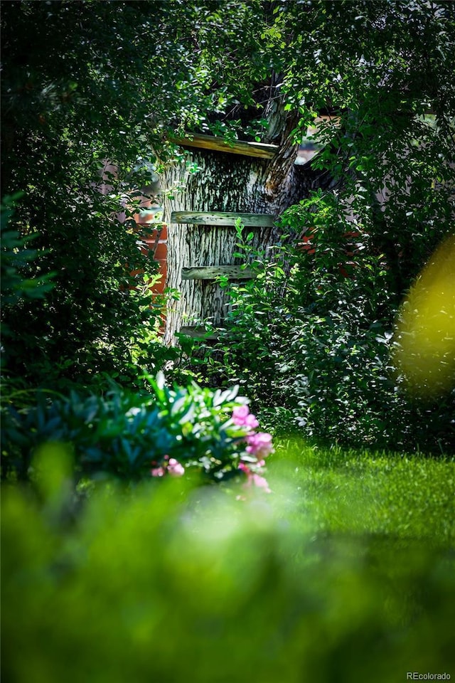 990 S Jackson St, Denver, CO 80209 - photo 37