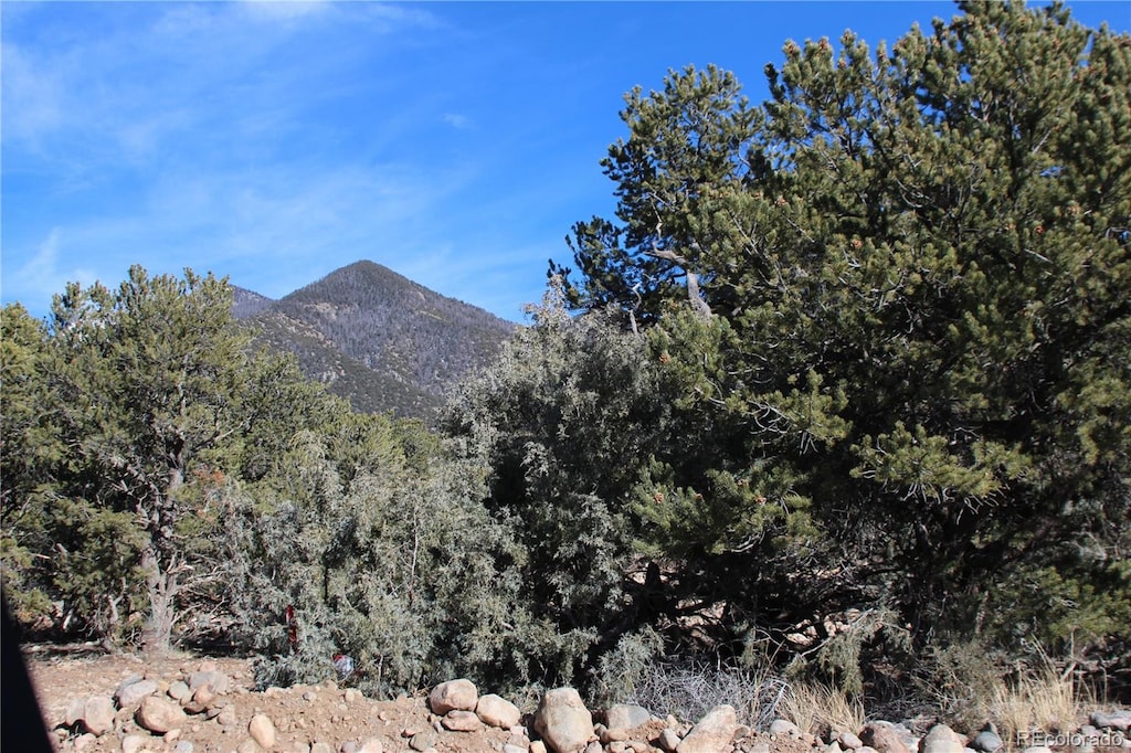 4333 Camino Baca Grande, Crestone, CO 81131