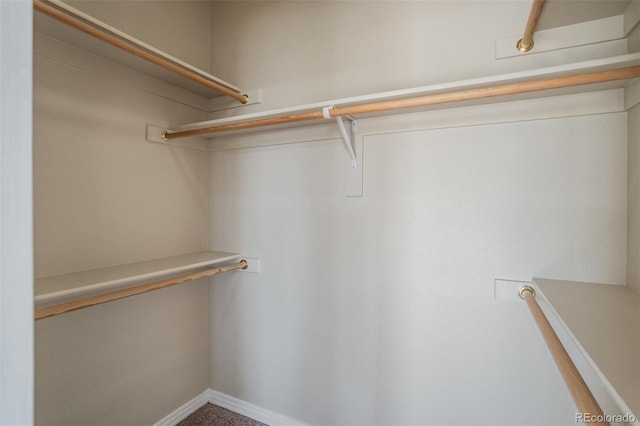 1447 Madison Ridge Hts, Colorado Springs, CO 80904 - view of spacious closet