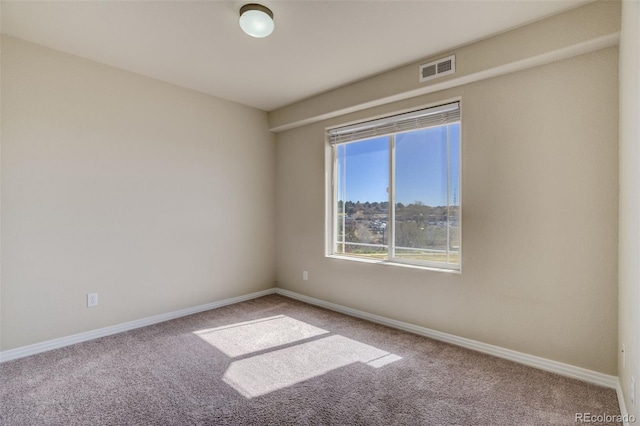 1447 Madison Ridge Hts, Colorado Springs, CO 80904 - photo 21
