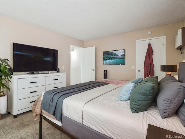 381 S Ames St Unit G101, Lakewood, CO 80226 - bedroom featuring light carpet and a closet