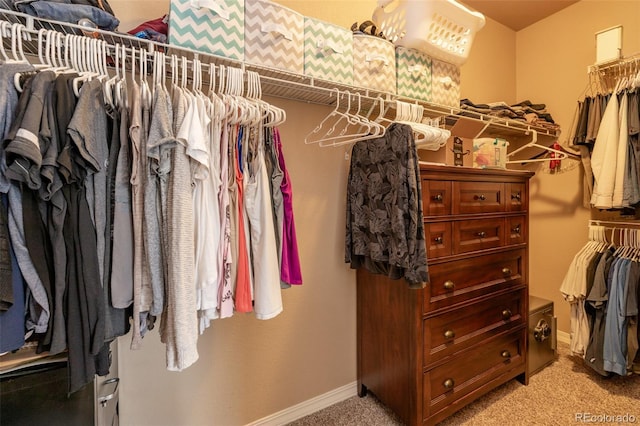 spacious closet with light carpet