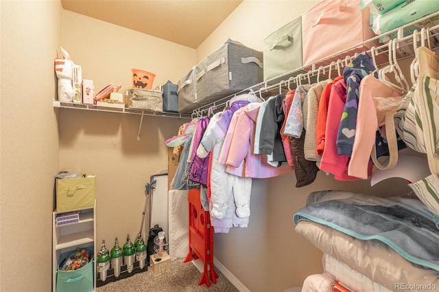 spacious closet featuring carpet flooring