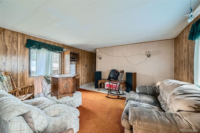 272 Calle Del Sol, Florissant, CO 80816 - photo 4