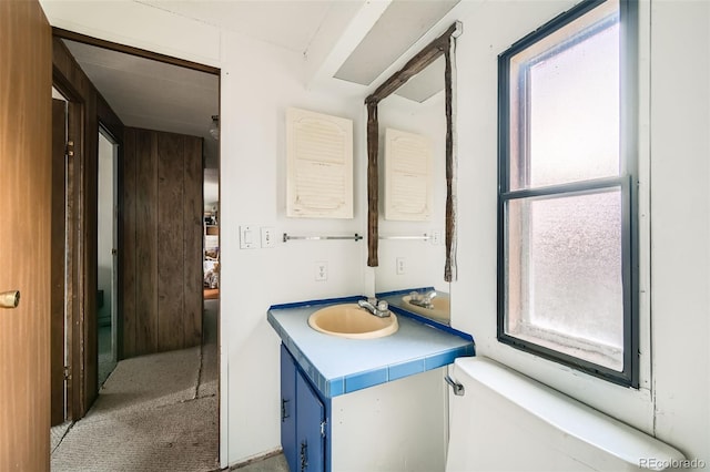 272 Calle Del Sol, Florissant, CO 80816 - photo 8