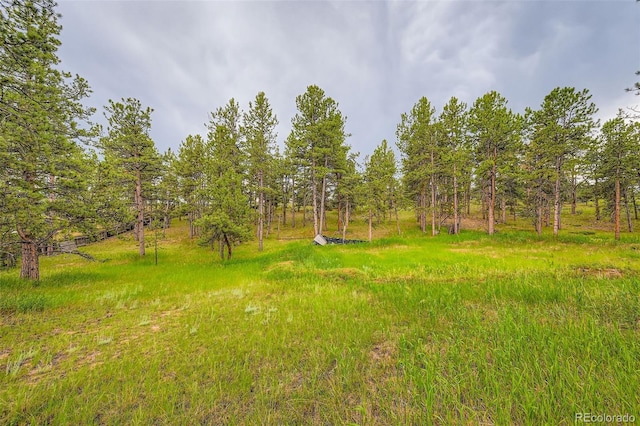 272 Calle Del Sol, Florissant, CO 80816 - photo 18