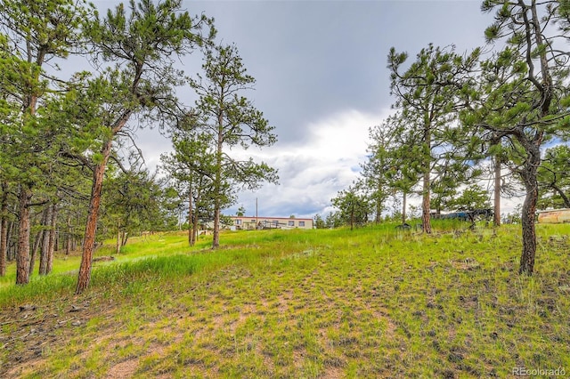 272 Calle Del Sol, Florissant, CO 80816 - photo 19