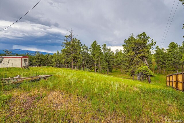 272 Calle Del Sol, Florissant, CO 80816 - photo 22
