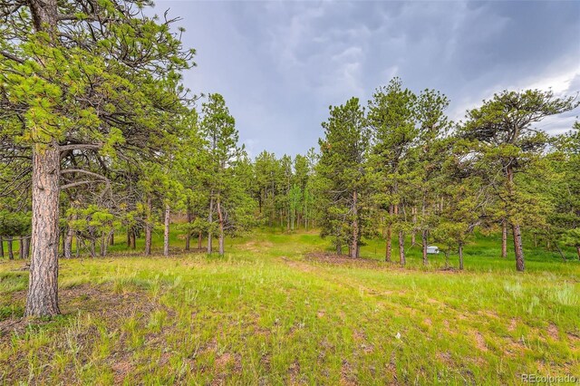 272 Calle Del Sol, Florissant, CO 80816 - photo 24