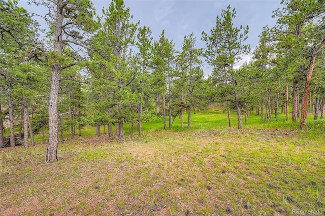 272 Calle Del Sol, Florissant, CO 80816 - photo 27