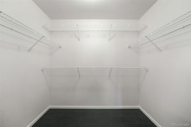 view of walk in closet