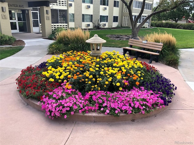 view of community with a lawn