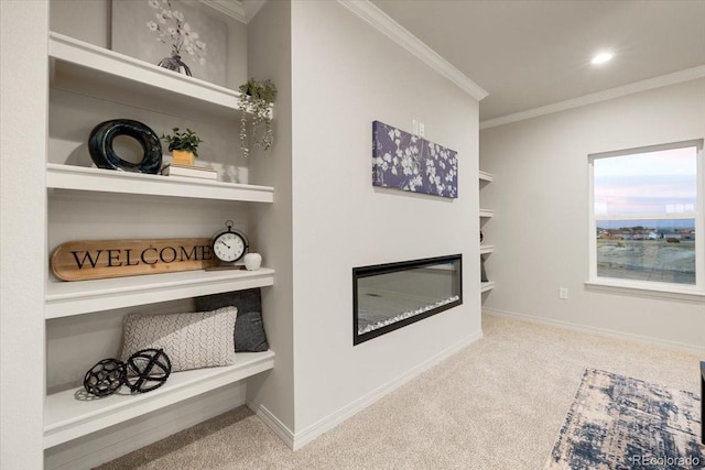 room details with ornamental molding, carpet floors, and built in features