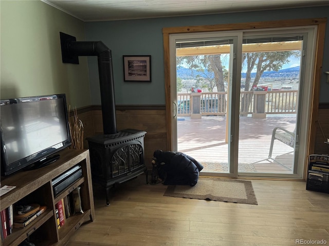 living room featuring light hardwood / wood-style floors and a wood stove