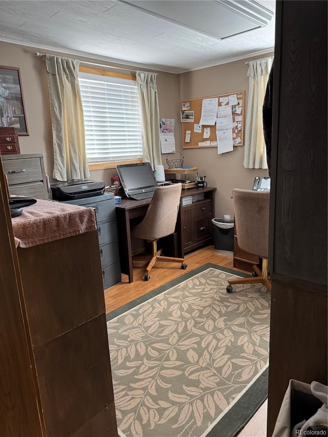 office featuring light hardwood / wood-style flooring