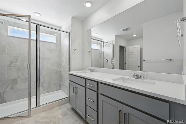 bathroom featuring plenty of natural light, a sink, and a stall shower