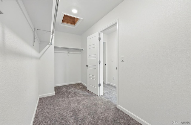 walk in closet with carpet floors