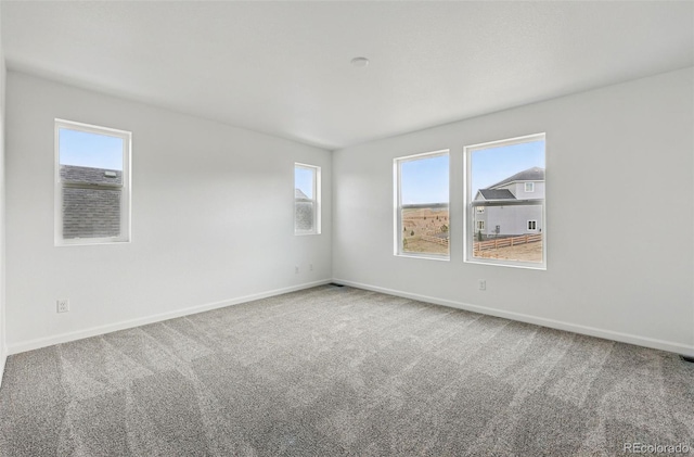 empty room with carpet, baseboards, and a wealth of natural light