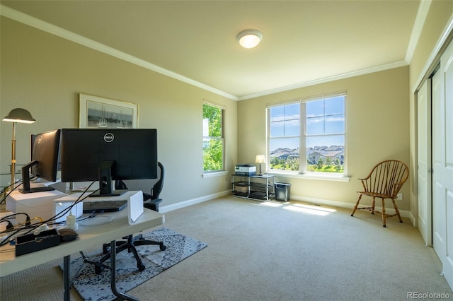 27565 E Nova Pl, Aurora, CO 80016 - office area featuring crown molding and carpet floors