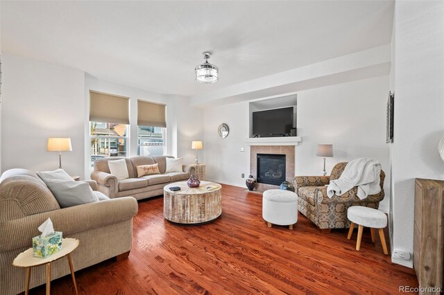 living room with a fireplace and wood-type flooring