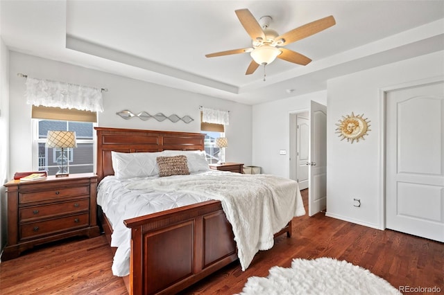 bedroom featuring a raised ceiling, multiple windows, ceiling fan, and dark hardwood / wood-style floors