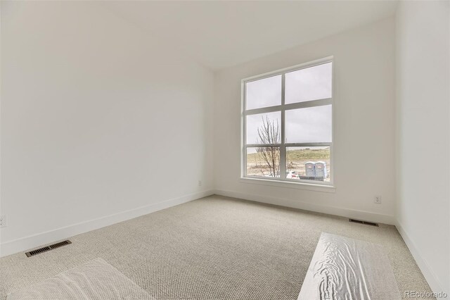231 Leafy Aster Ln, Castle Rock, CO 80104 - spare room featuring light colored carpet, baseboards, and lofted ceiling