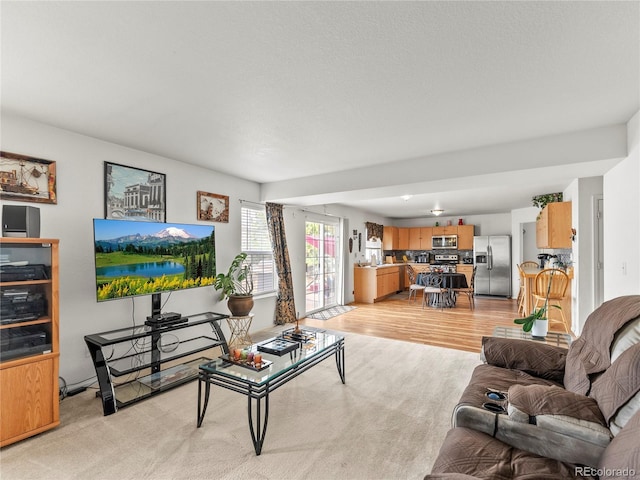 4906 Perth St, Denver, CO 80249 - living room with light carpet