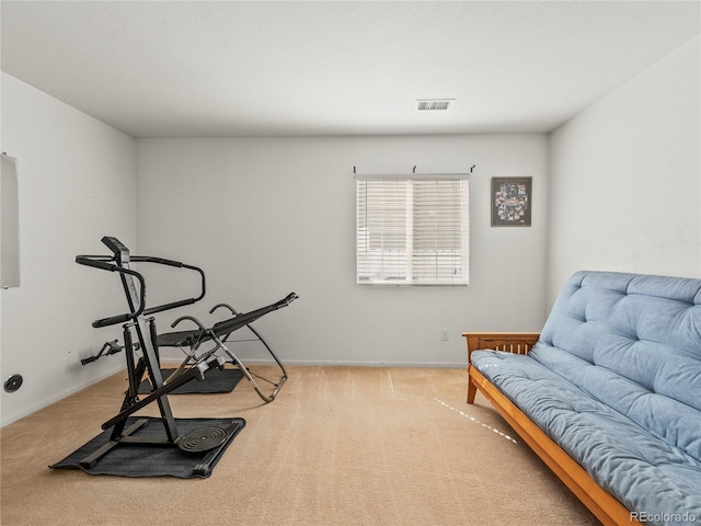 4906 Perth St, Denver, CO 80249 - exercise room with carpet and baseboards
