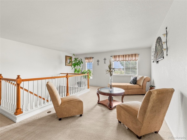 4906 Perth St, Denver, CO 80249 - view of carpeted living area
