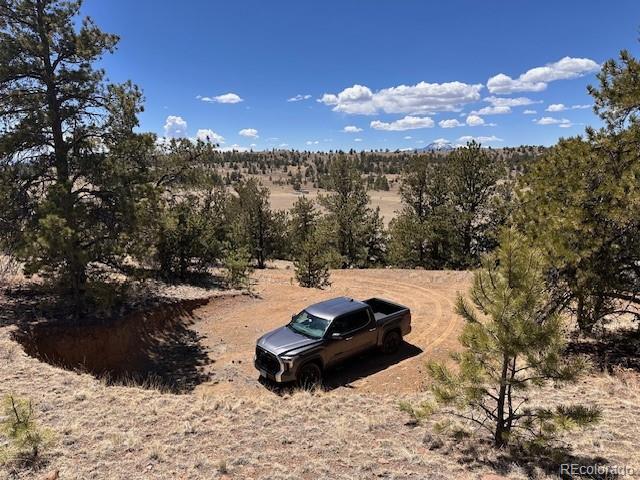 2972 Fitzsimmons, Hartsel, CO 80449