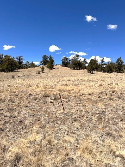 2972 Fitzsimmons, Hartsel, CO 80449