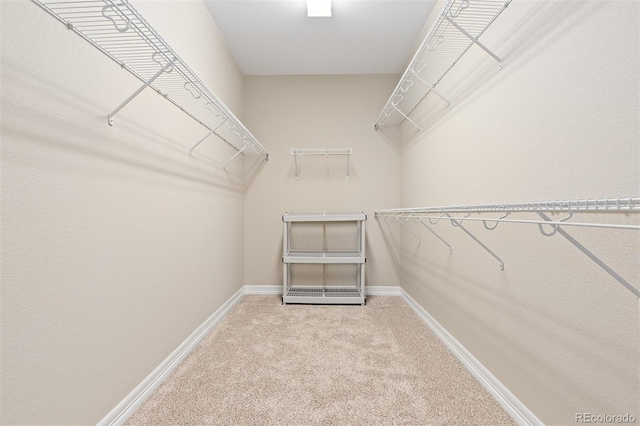 6520 S Newcastle Way, Aurora, CO 80016 - walk in closet featuring carpet floors