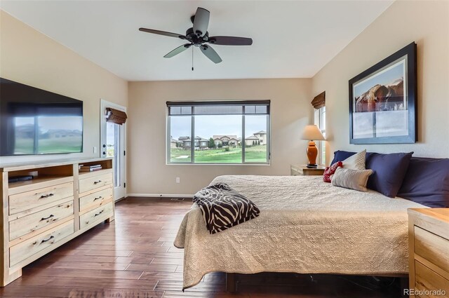 2716 Dundee Pl, Erie, CO 80516 - photo 8