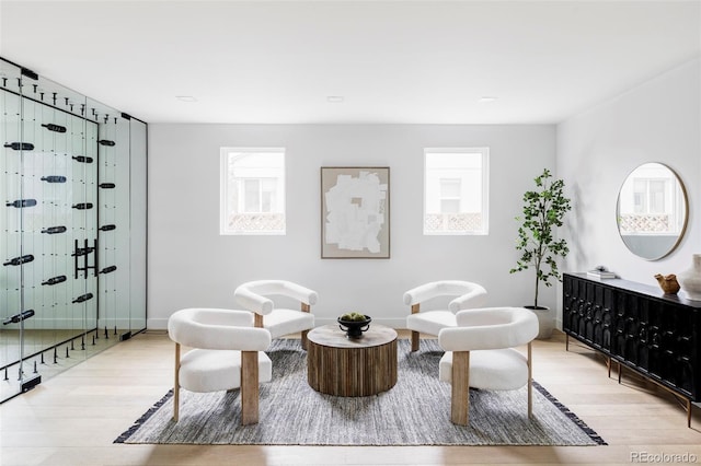 sitting room featuring wood finished floors