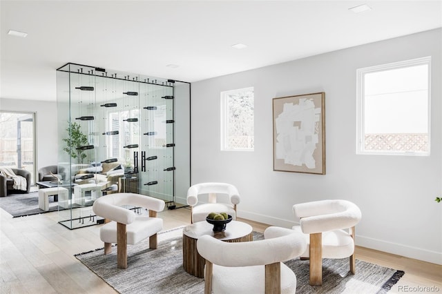living area featuring baseboards and light wood-style floors