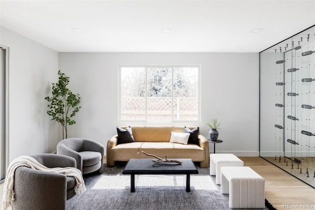 living room featuring baseboards and light wood finished floors