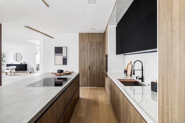 kitchen featuring black electric cooktop, light stone countertops, modern cabinets, a sink, and light wood-type flooring