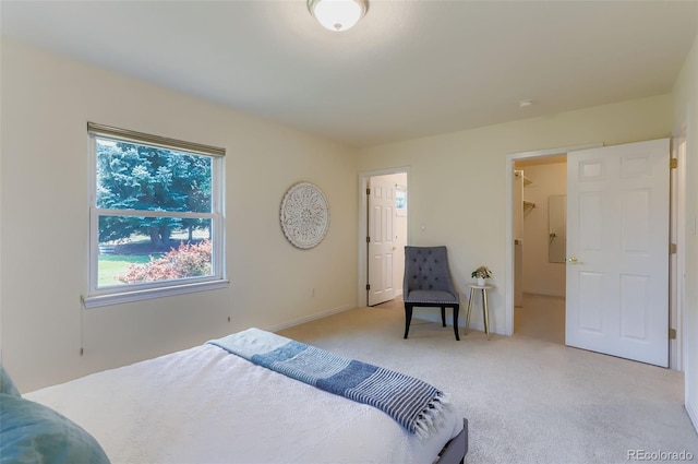 3600 Quail Rd, Longmont, CO 80503 - photo 17